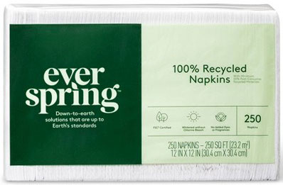 Paper Napkin Packet