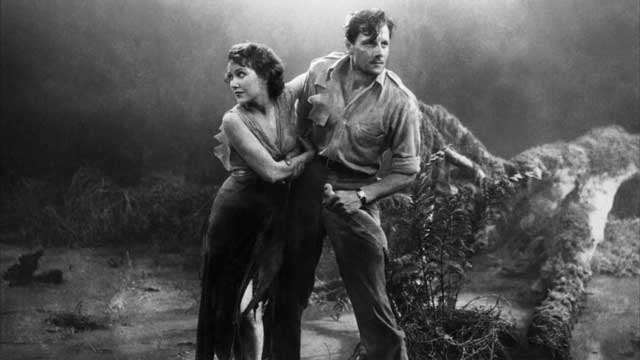 MDG heroes in Fog Hollow