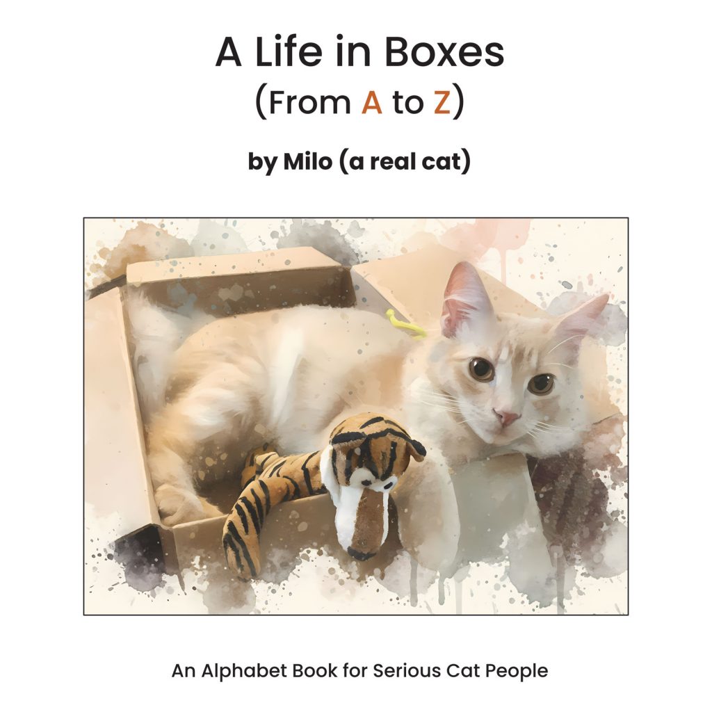 Book cover - a cat in a box with his toy tiger